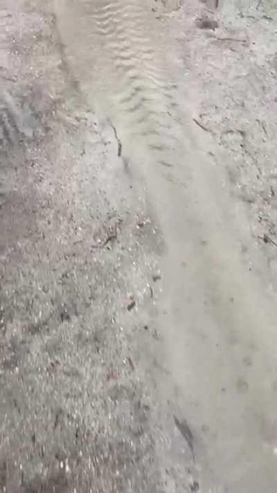 A quick reminder to think about where your tent is placed.