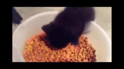 She keeps talking while eating 💕