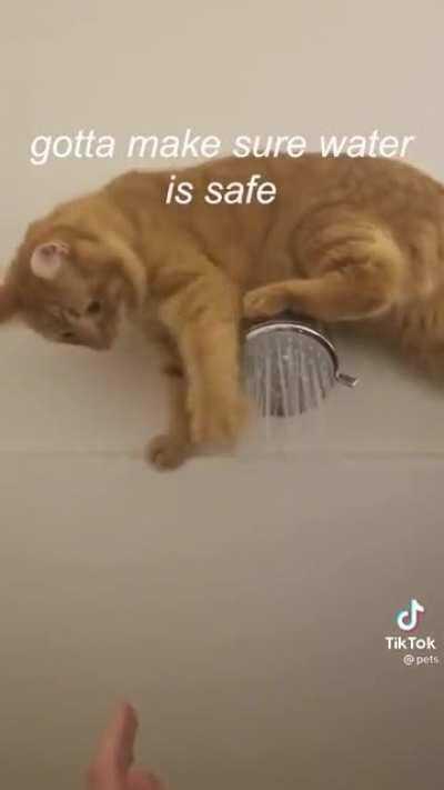 Shower repair kitty! 🚿 🧼