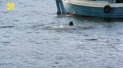 Lucélia Santos - Luz del Fuego (BR1982) (5/8) - Jump off a boat