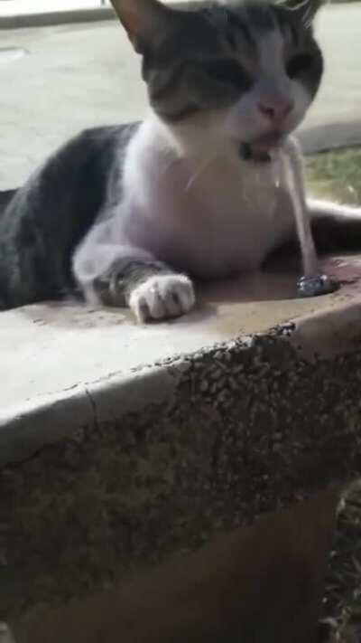 Human, can you lend me a hand?