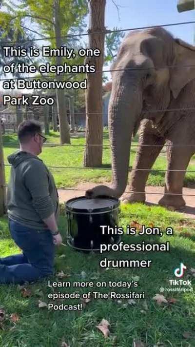 Music is its own language