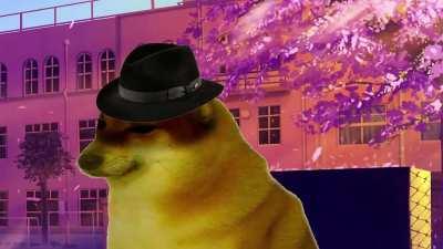 (OC) Türkiye'de Yaşamak İmkansız