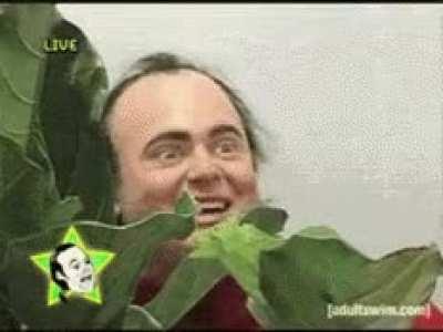 MRW two coworkers start publicly arguing in a group meeting