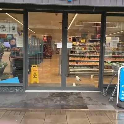 Remember kids There will always be someone who will try to stop you from doing everything you do