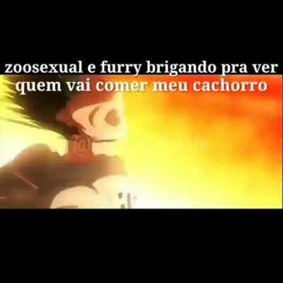 Fique longe furro, vc não vai comer meu cachorro