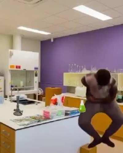 Haha school shooting funny