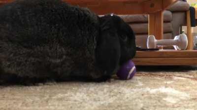 WELCOME TO THE BUNDERDOME