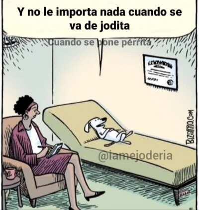 La vi moviendo la cola