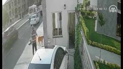 Trying to run away from the dog