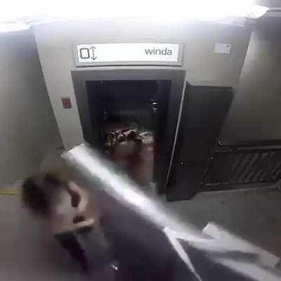 Dog player celebrates the 