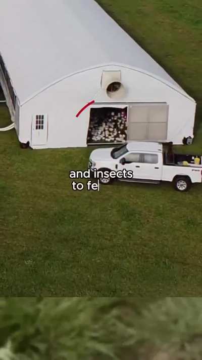 Solar Powered Chicken Coop Moves Every Day So Chicks Have Fresh Grass