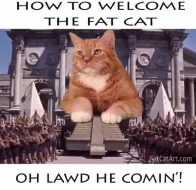 The King doesn’t need braincell