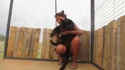 Black panther seeing their favorite zookeeper