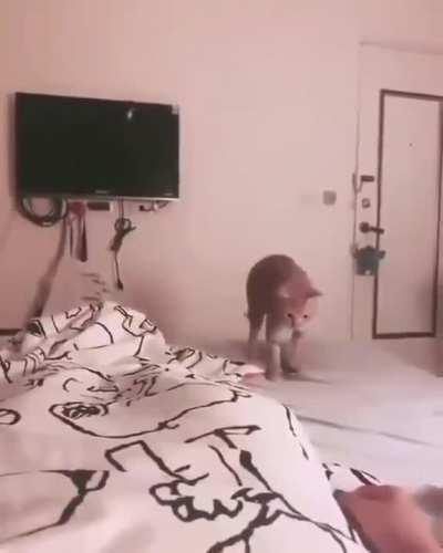 ʰᵉʳᵉ ᵃ ᵍⁱᶠᵗ ˡᵘᵛ ʸᵃ ᵇʸᵉ