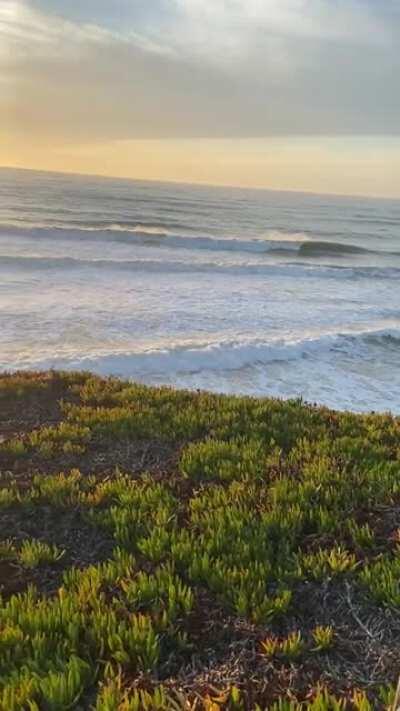 Thought I would share the sun starting to set. There is a customer in Pacifica, CA that I love to shop for when I see her appear on the metro. She is kind, generous and I get this as a added benefit. I hope everyone has a good night and this a little calm