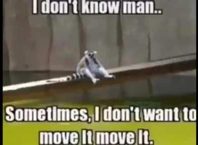 I have the best memes on Reddit