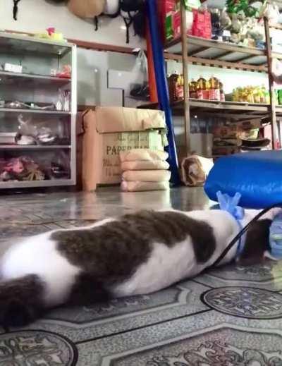 Me in every Monday. Try to wake up