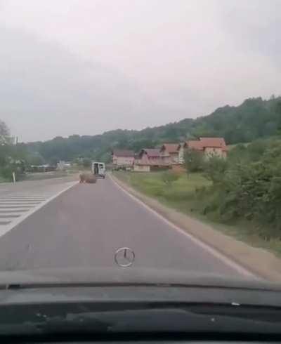 Odmah sam pomislila da je kod nas... kad ono... jeste..