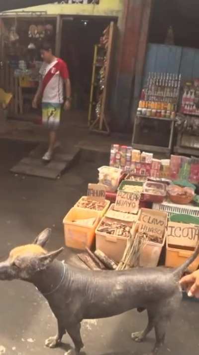 Initially I was led to believe he was chill like that