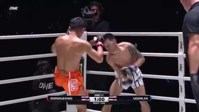 This is why everyone should learn Leg Kicks