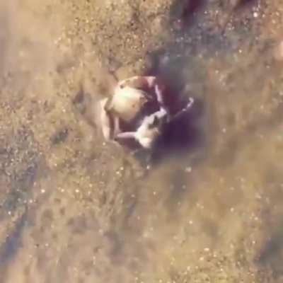 The protective friend we all seek....