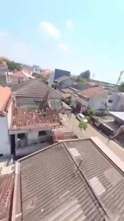 Bird takes off with a GoPro