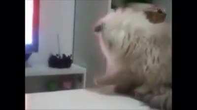 No me tientes culera.