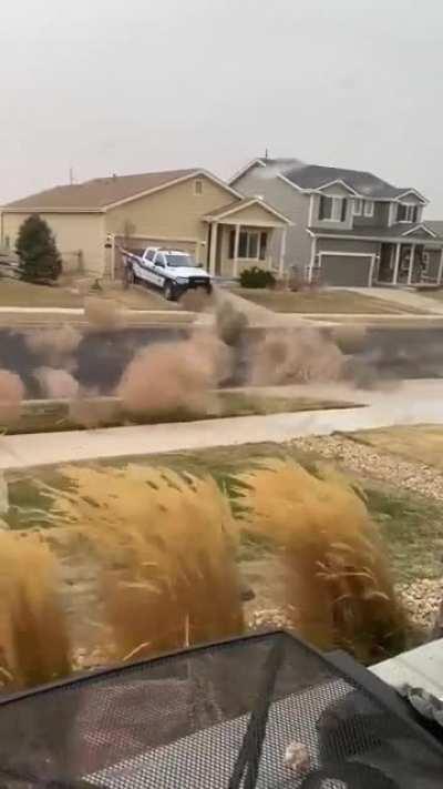 This swarm of Tumbleweeds barreling down a residential street north of Denver.