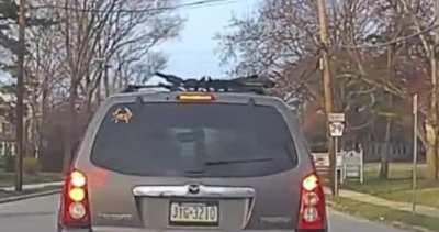 Idiot runs stop sign and gives me the finger