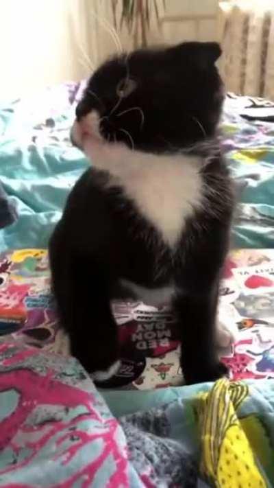 you've had enough of that