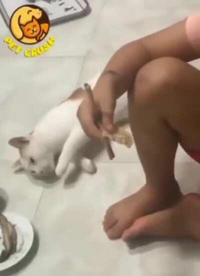 Goodbye, little hooman...