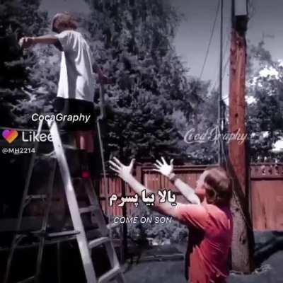 😂😂😂(funyfish)