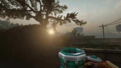 Never ordering Wormhole Special again!