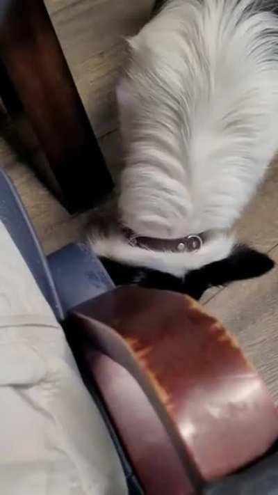 Brought my boy to the office. I don't really know what I expected....