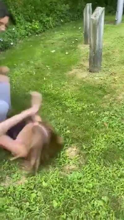 Girls fighting over a boy