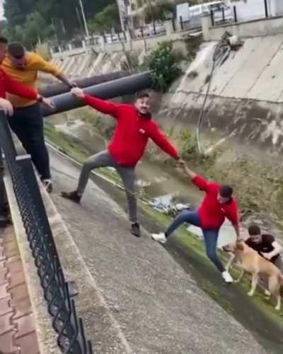 People in Turkey team up to save a dog