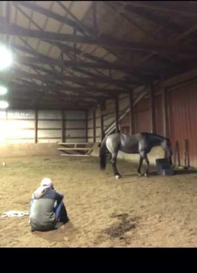 Girl acts sad to see how her horse reacts