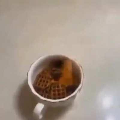 Proper British dished