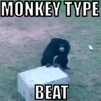 Monkey type beat