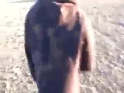 Redneck Suppressor (1st try)