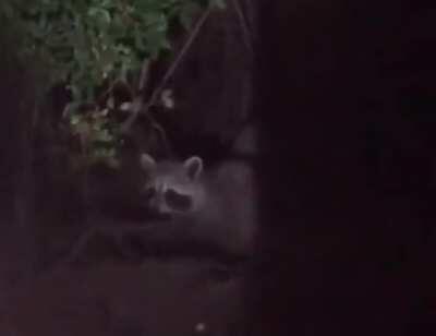 My babies nightly feeding😃❤️🥰