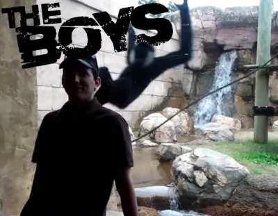 I spent 20 minutes on this