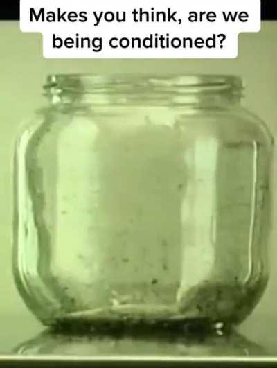 This sounds like what's being done with every aspect of our life