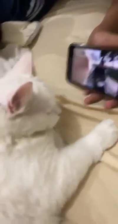 I thought of sharing it here because this made my day!