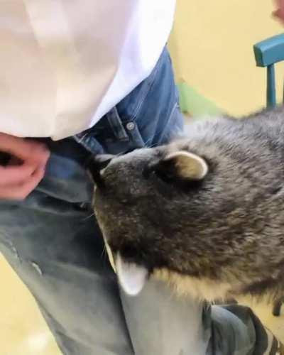 POV: you pick Sett support and Twitch is your ADC