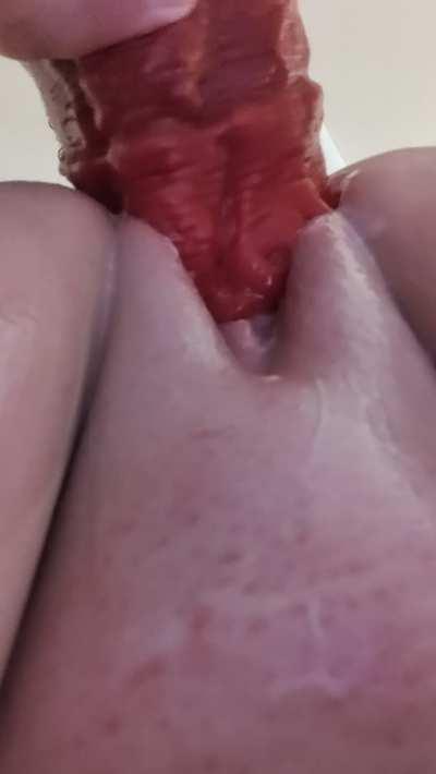 My first attempt at taking a large Baron. I couldn't even make it past the head. I will have to keep practicing!❤️ ️