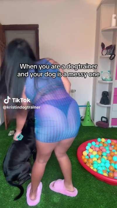 @kristindogtrainer Is this part of my daily work?