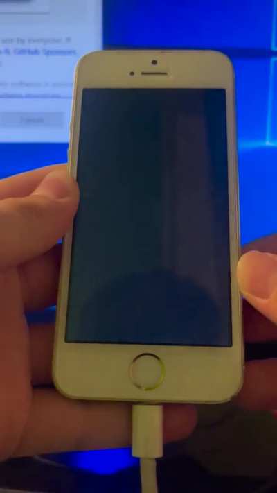 iPhone 5S does this everytime I try to turn it on. It won’t turn on without a charger (not properly at that). Help?