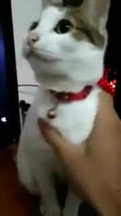 his internet Is a little slow...